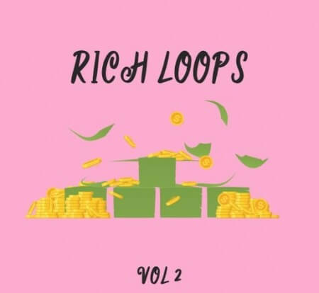 DiyMusicBiz Rich Loop Vol.2 WAV